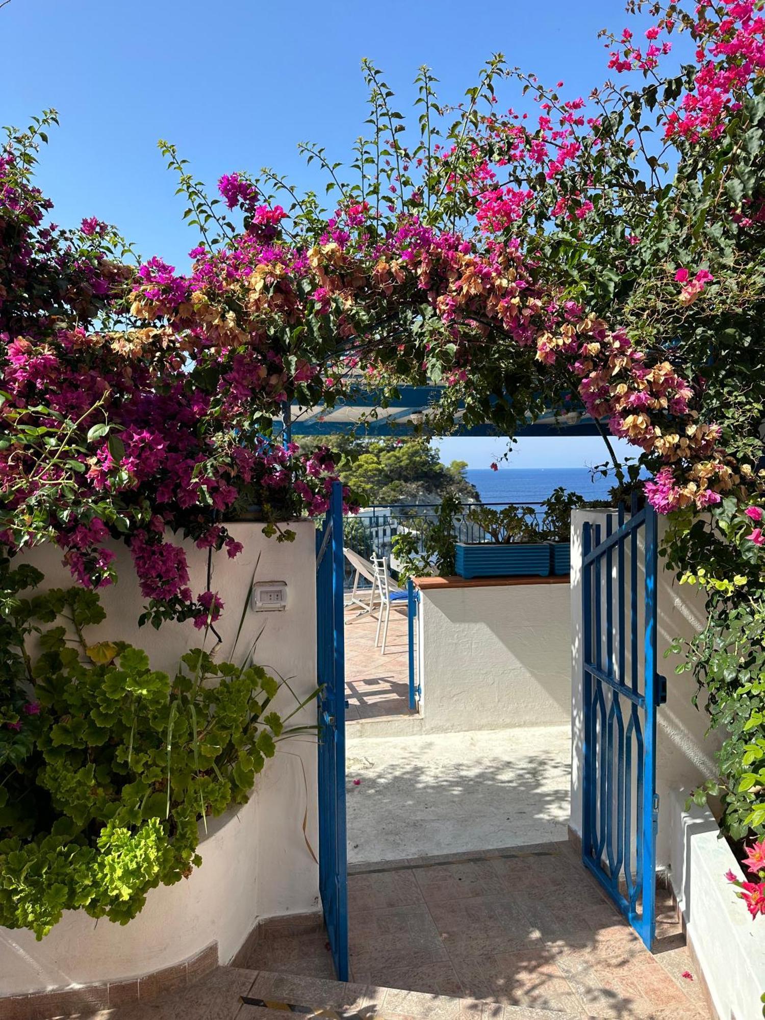 הוילה פונזה Casa Talento מראה חיצוני תמונה